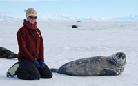 jen with weddell seal