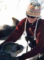 jen mannas studying weddell seals