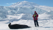 montana state university students working in antarctica
