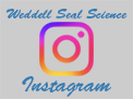 New Weddell Seal Science Instagram